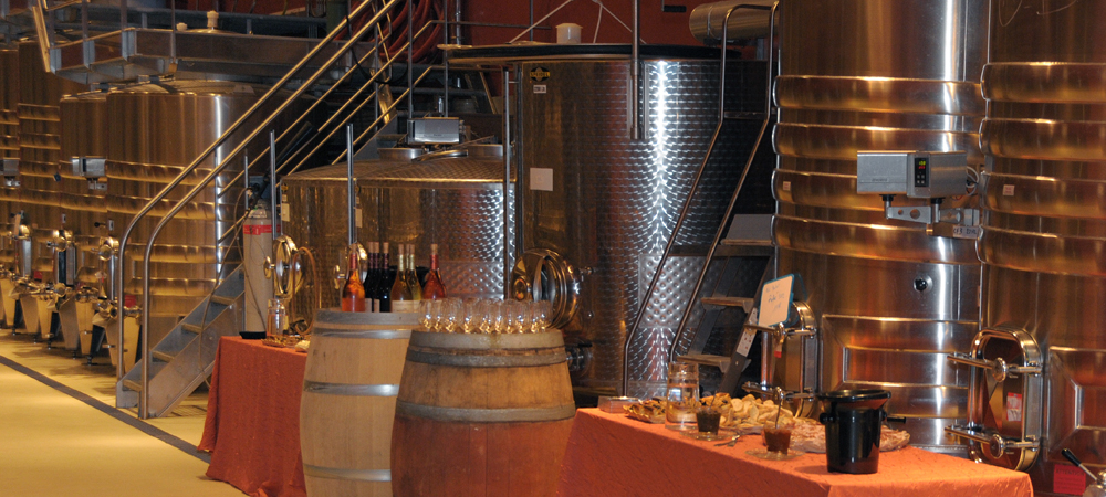 Dégustation de vins dans un chai moderne, tonneaux en bois et cuves en inox alignés, verres à vin remplis sur une table recouverte d'une nappe orange, ambiance chaleureuse et professionnelle dans un domaine viticole.